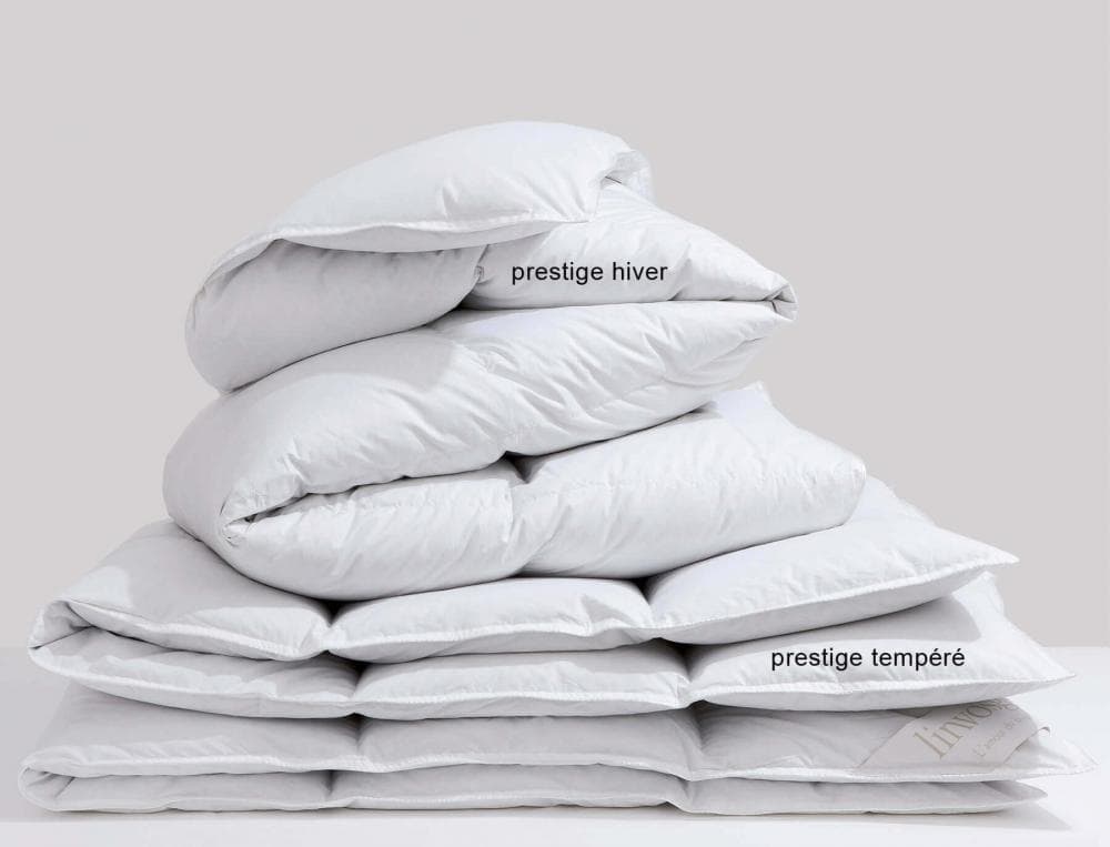Prestige hiver canard blanc