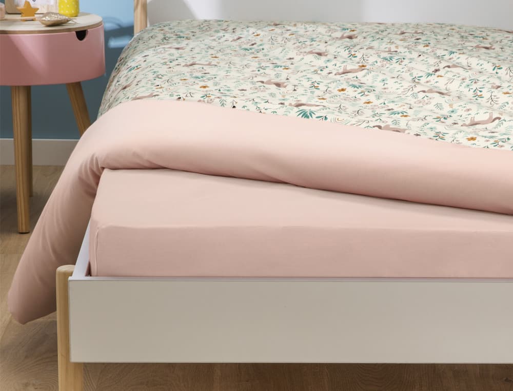 Au pays des licornes