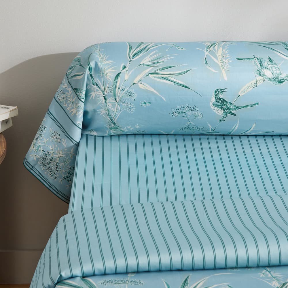 Sérénade à Luneville