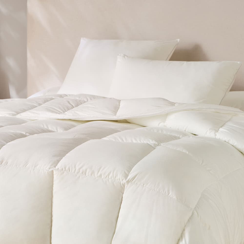 Confort Parfait
