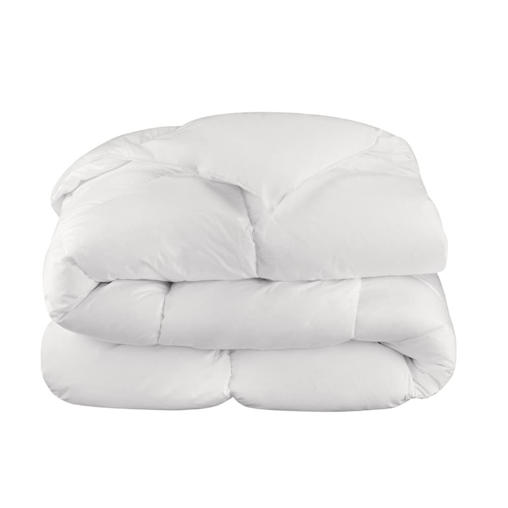 Confort absolu été