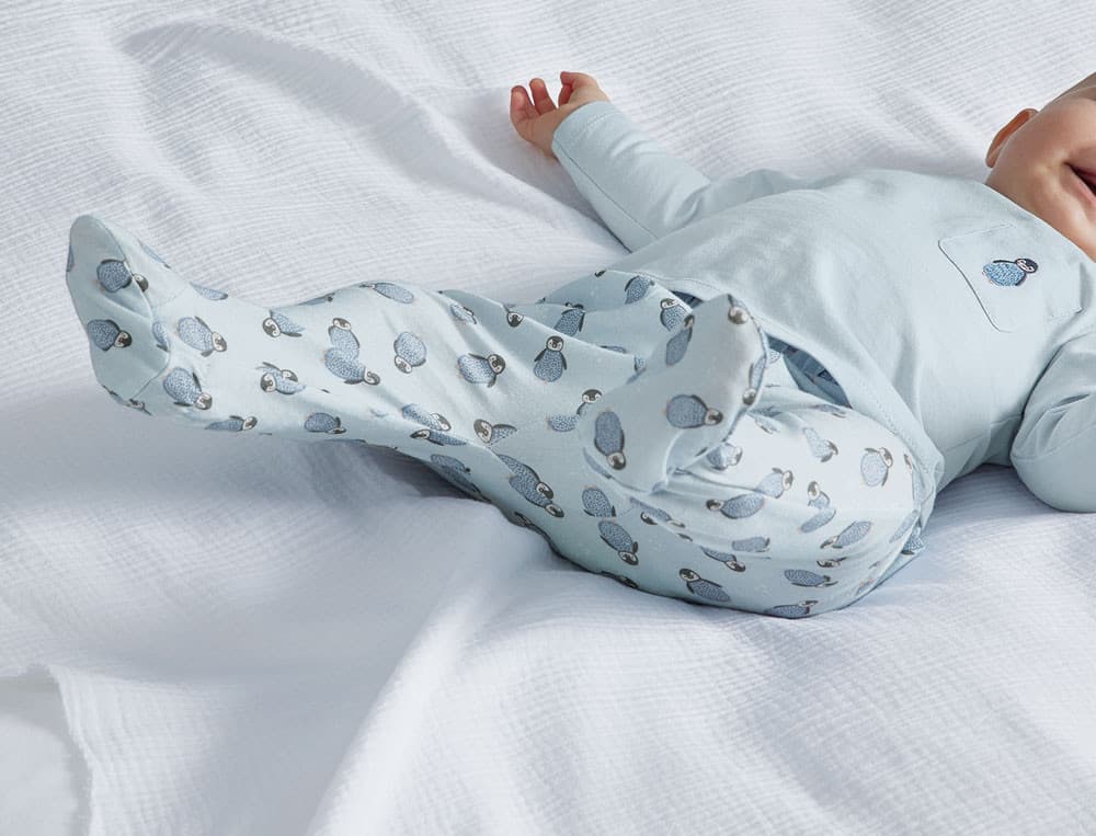 Des petits pingouins