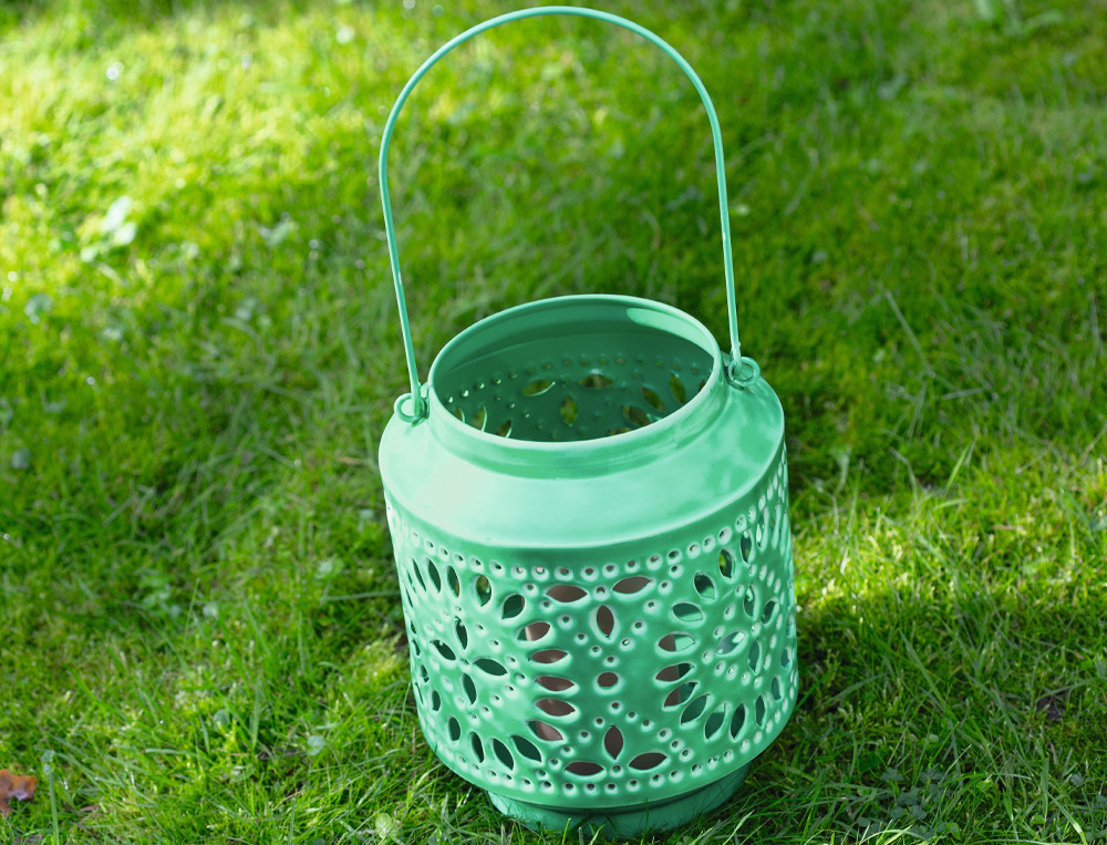À vos plantes
