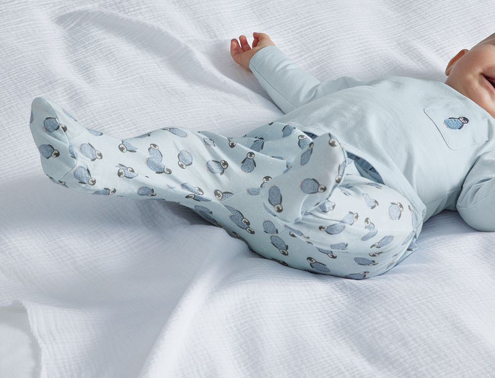 Des petits pingouins