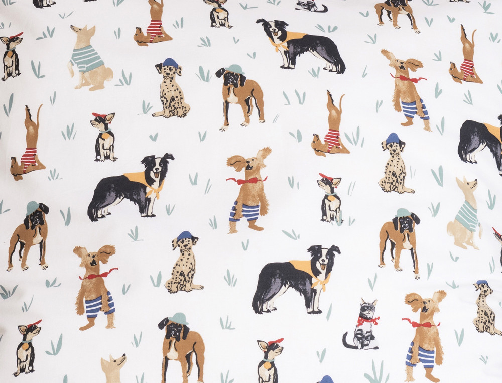 Chiens et chat