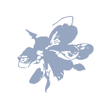 Linge de lit Le linge amoureux - Linvosges