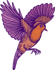 Michaël Cailloux x Linvosges