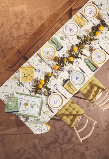 Lot de 4 assiettes Aux petits oignons - Linvosges