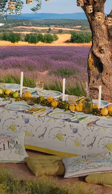 Serge Bloch x Linvosges