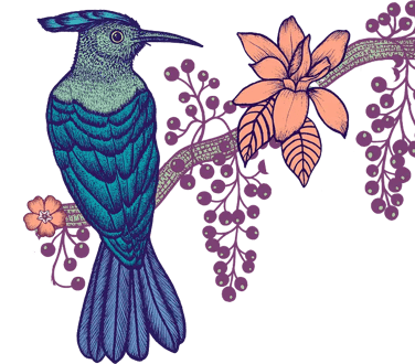 Michaël Cailloux x Linvosges