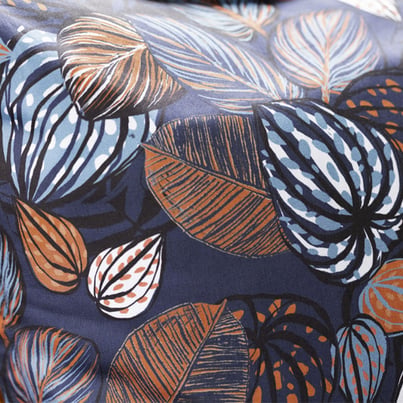 Blue cacao