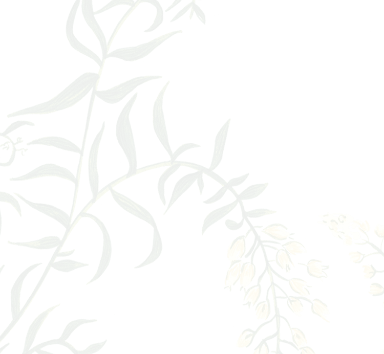 Grand Palais x Linvosges