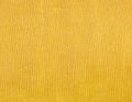 Entre terre et mer Jaune
