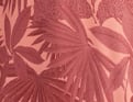 Balade exotique Corail
