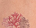 Mer de Corail Saumon