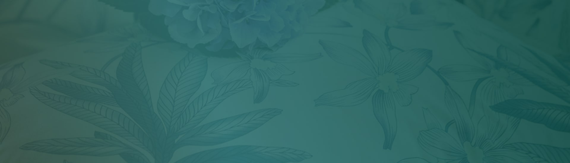 SALE - Alles zu -50%