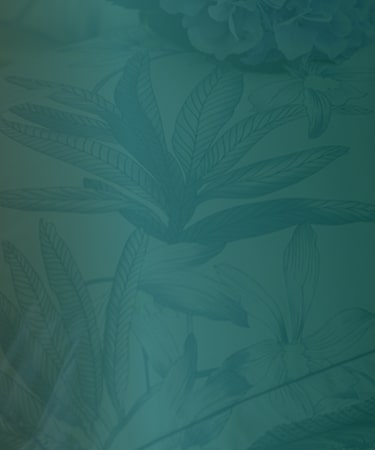 SALE - Alles zu -50%