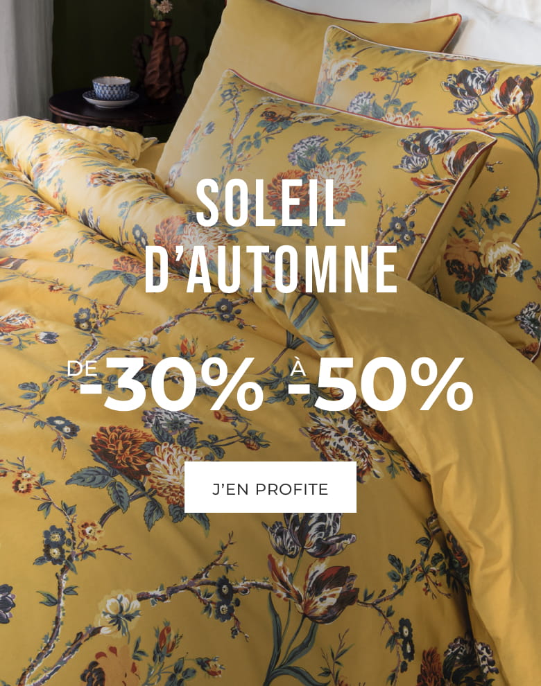 Soleil d'automne