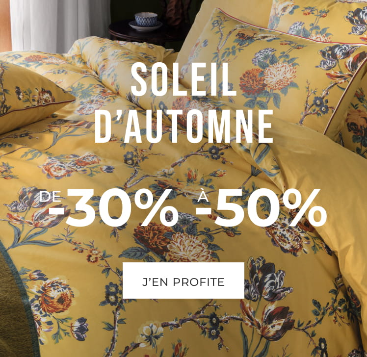 Soleil d'automne