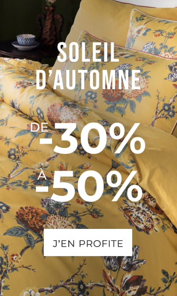 Soleil d'automne