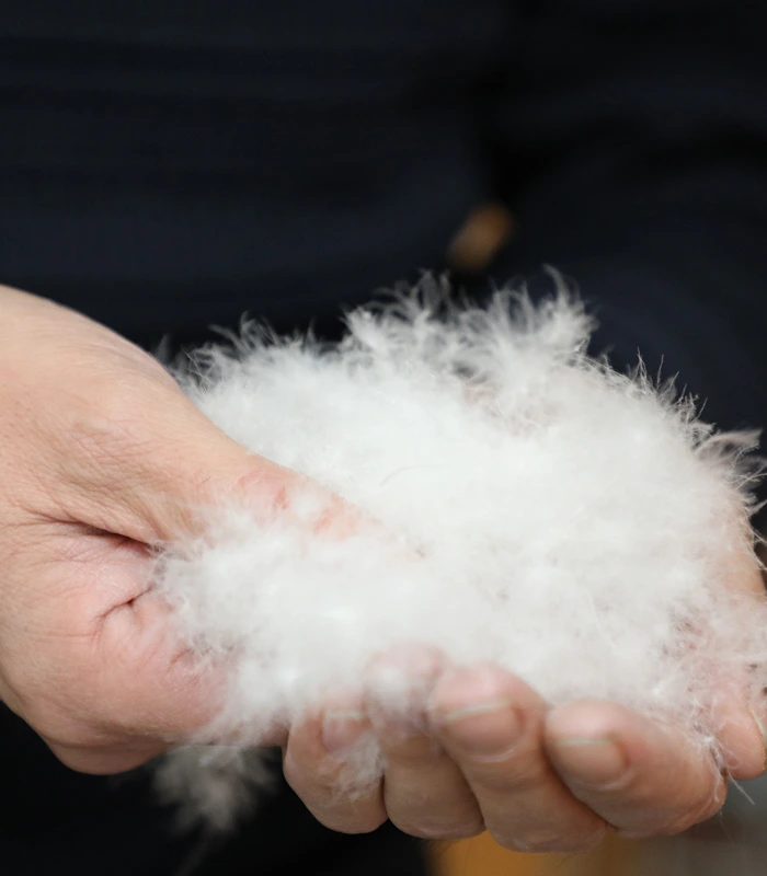 Dans les coulisses de vos nuits