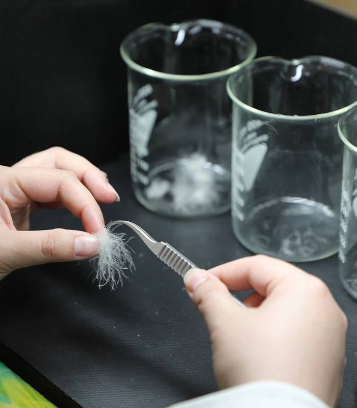 Dans les coulisses de vos nuits