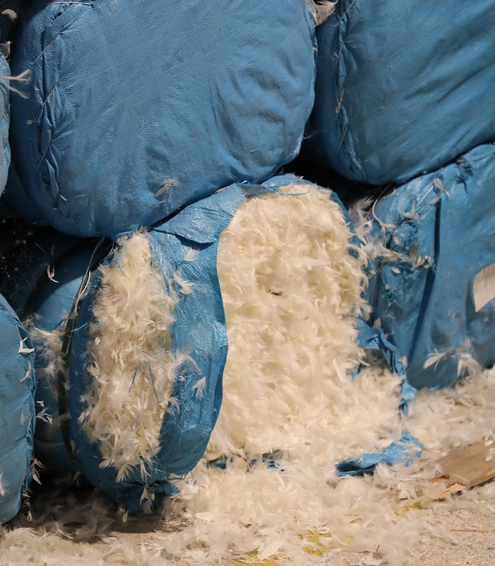 Dans les coulisses de vos nuits