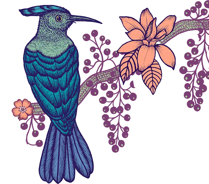 Michaël Cailloux x Linvosges