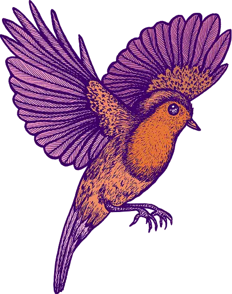 Michaël Cailloux x Linvosges