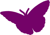 Michaël Cailloux x Linvosges