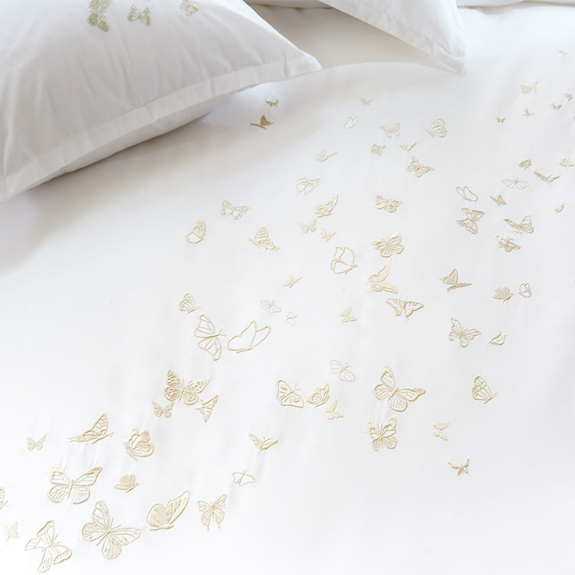 Schmetterlingsflügel