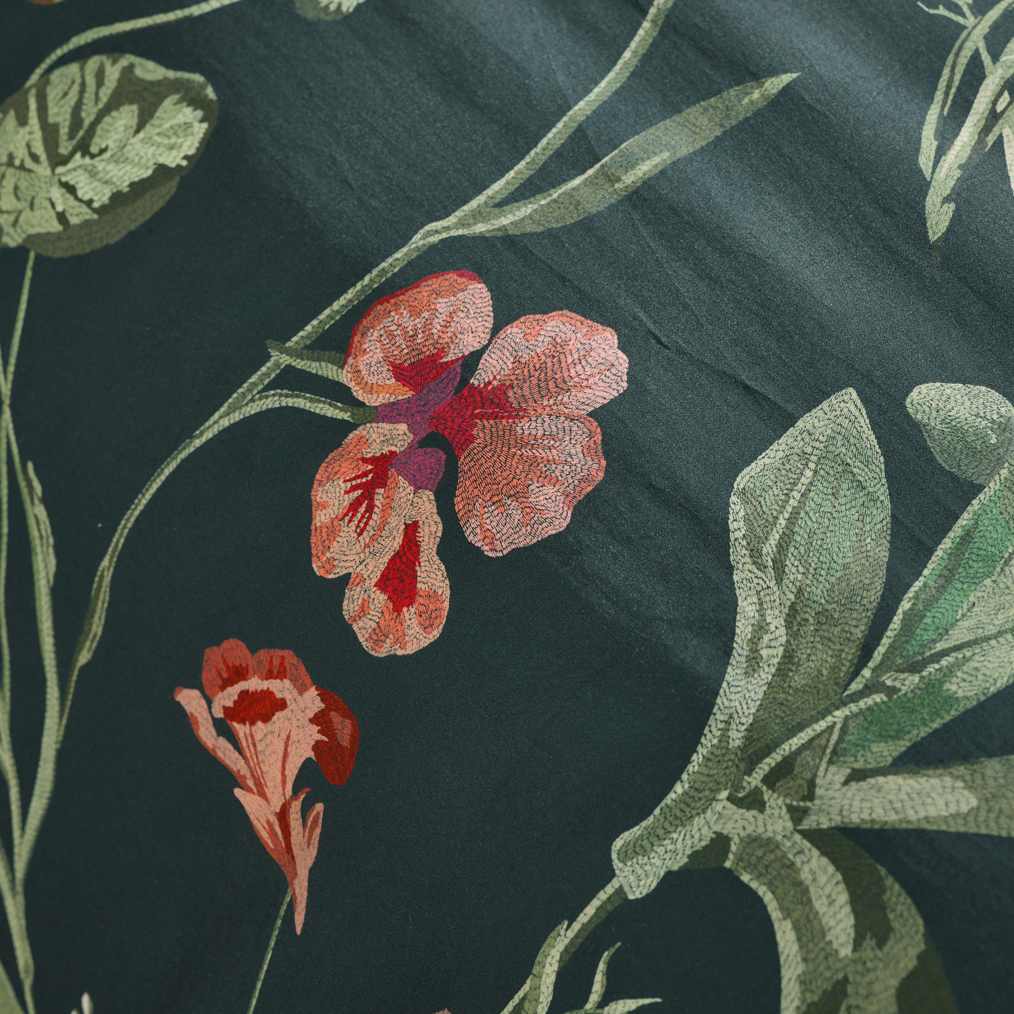 Jardin nocturne