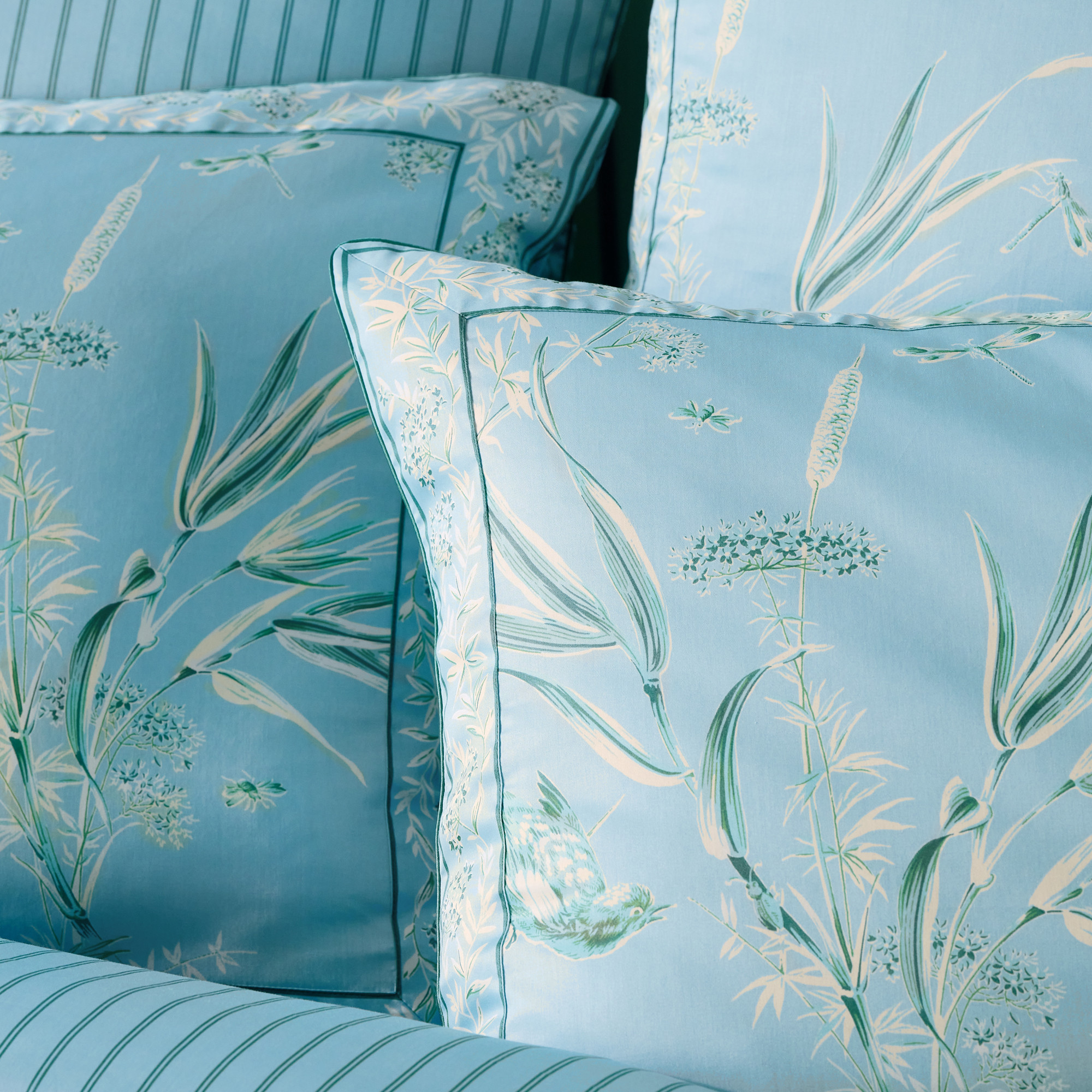 Sérénade à Luneville