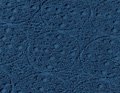 Nacht in Blau marine