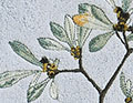Botanische Poesie  bestickt