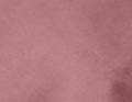 Nuage percale figue