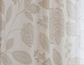 En transparence Beige