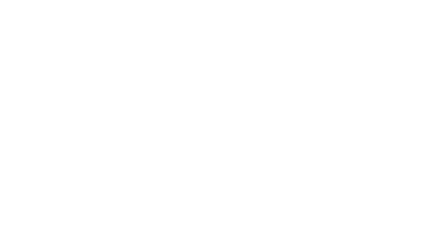 Les Essentiels