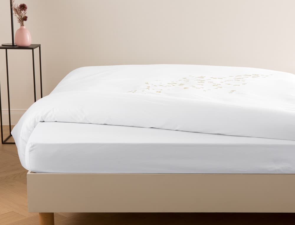 Schmetterlingsflügel