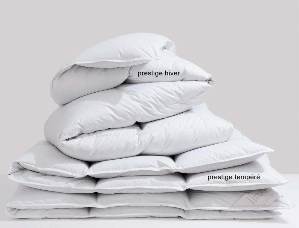 Prestige hiver canard blanc