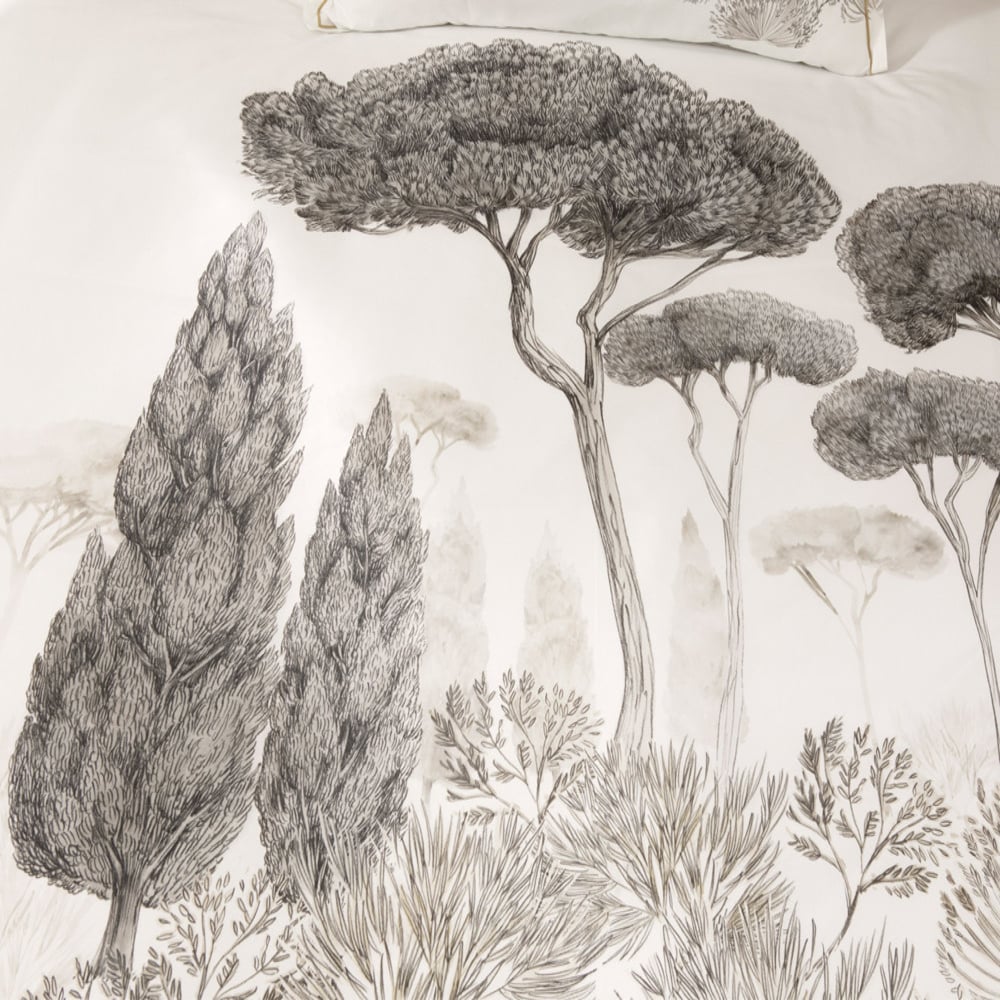 Pinienbaum