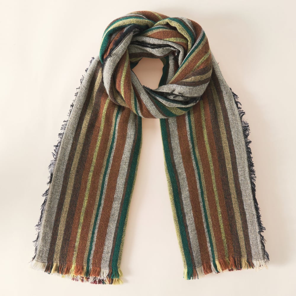 Élégance d'hiver