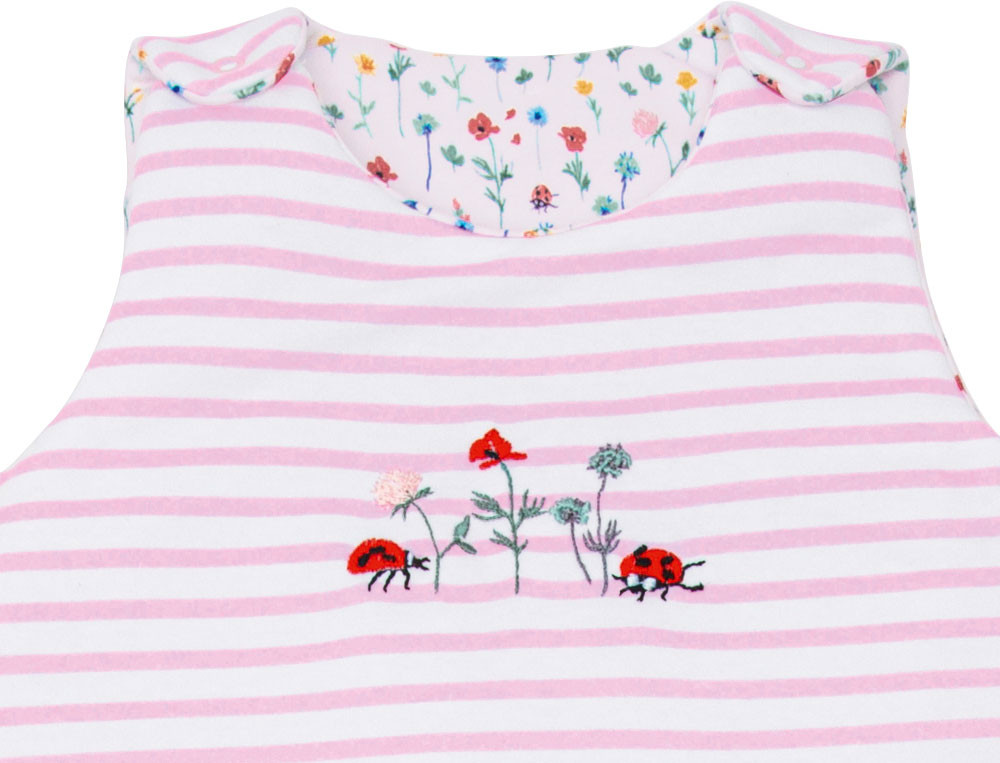 Jolie coccinelle