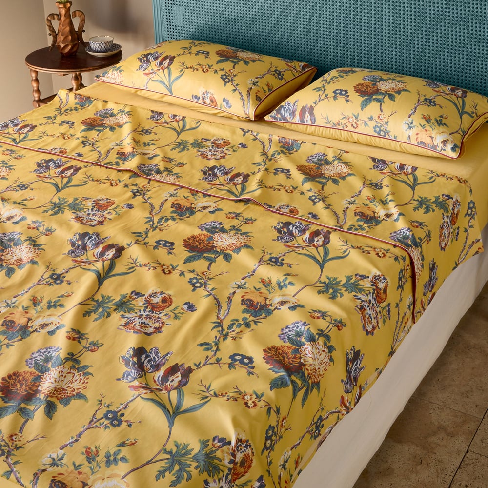 Élégance solaire