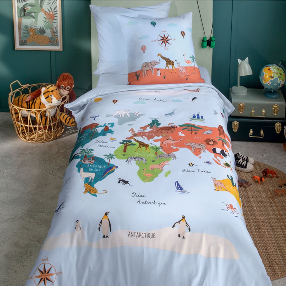 Mappemonde