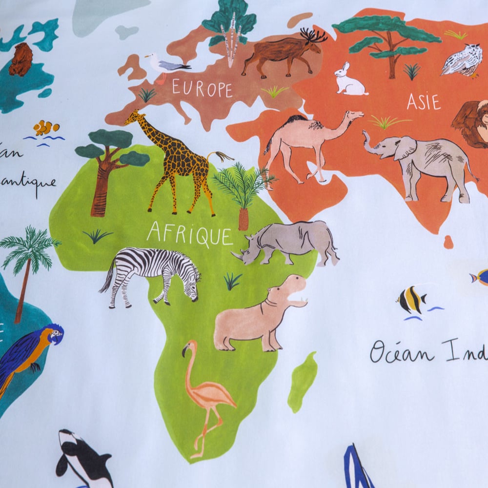 Mappemonde