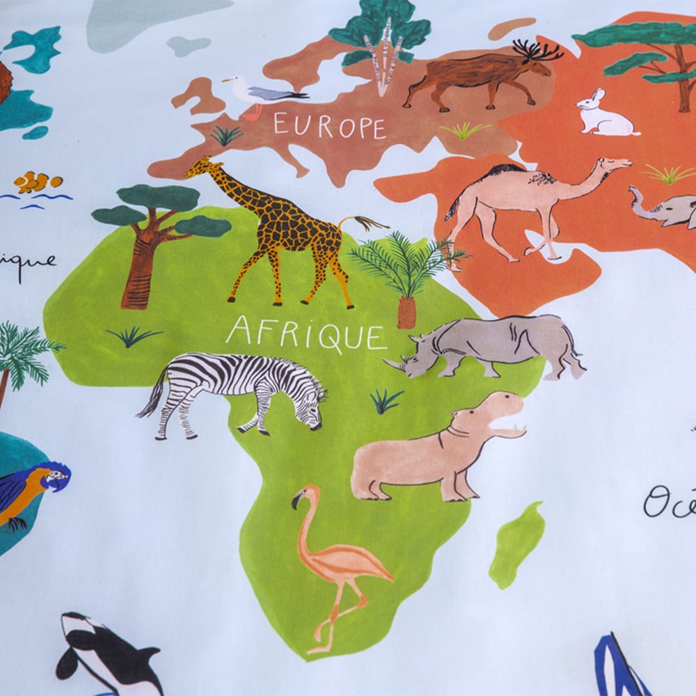 Mappemonde