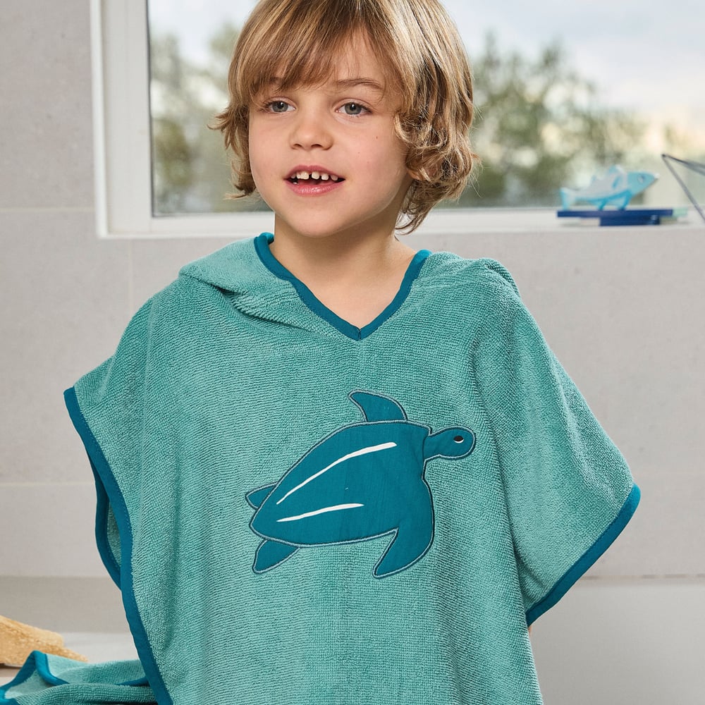 Bandes de poissons