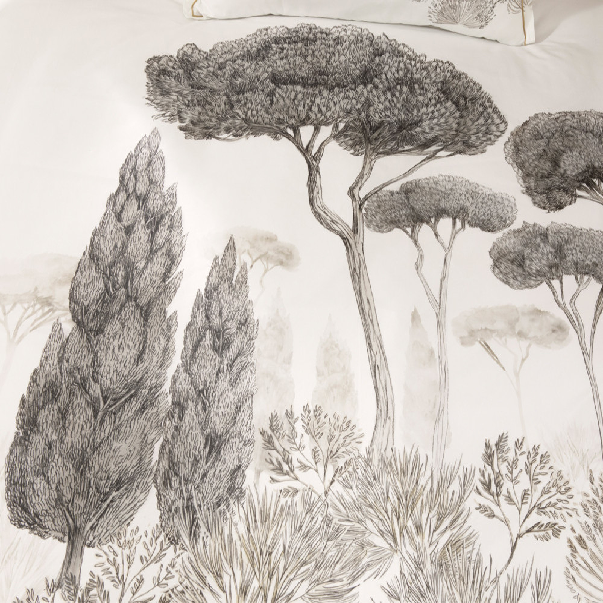 Pinienbaum