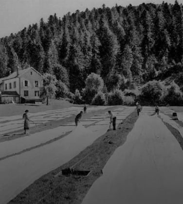 100 Jahre Linvosges - Linvosges